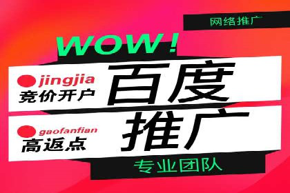 专业sem竞价托管服务，案例解析提升广告效果